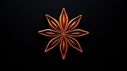 Natural star anise on black background.