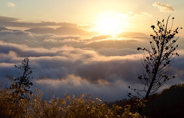 Sunrise in the mountains