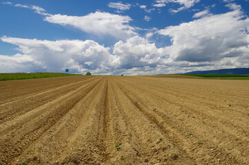 Swiss farmland, agriculture and landscape