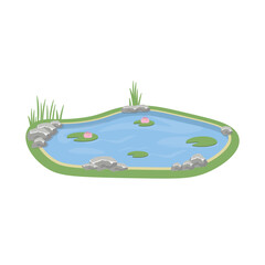 Small pond with water lily. Vector cartoon illustration