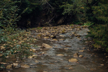 Mountain river in the Ukrainian Carpathians