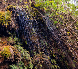 Imouzzer Ida Ou Tanane, Morocco, : close-up detail of the waterfall of Imouzer. Water flowing like rain, moss, green lush vegetation.