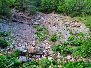 Obraz premium A landslide on a mountain slope, with scattered rocks and new plant growth