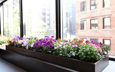 Fototapeta premium Colorful flower arrangement in a modern window planter overlooking a vibrant cityscape on a sunny day