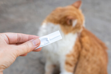 The owner of the animal put drops from fleas on the withers of his ginger cat. Prevention and...