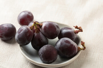 ブドウ　巨峰