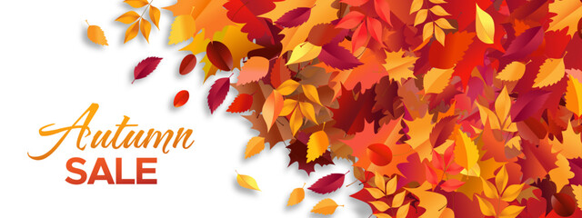 Autumn Sale leaves concept  illustration vector banner