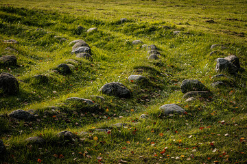 A stone labyrinth winds through a grassy field, surrounded by small rocks and scattered autumn leaves, creating a peaceful, natural scene.