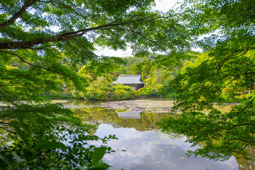 Kyoyochi Pond of Ryoan Ji Temple. This temple is a Zen Buddhist temple in historic city of Kyoto,...