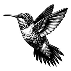 Obraz premium Detailed black and white illustration of a hummingbird in flight. Raster, generative ai.