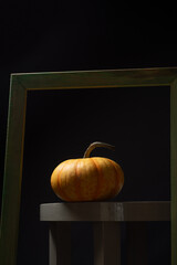 Framed Whole Pumpkin in Artistic Concept Surrounded by Real Photo Frames