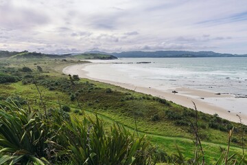 Grassy coastline and golden sandy beach of Tawharanui, Warkworth, Auckland, New Zealand.