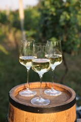 Tasty wine in glasses on wooden barrel outdoors