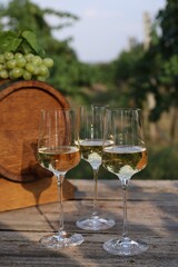 Tasty wine in glasses, grapes and barrel on wooden table outdoors