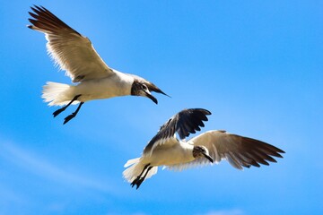 Bonaire, Dutch Antilles