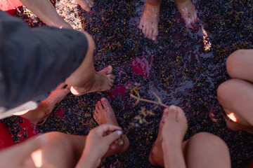 Naklejka premium upper view of children feet crashing grapes in a big bowl