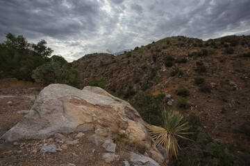 Dry, rugged Mount Lemmon ridge view in Catalina Mountains of Arizona in America's Southwest region