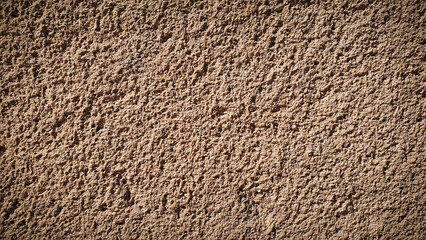 A highly detailed natural texture with earthy brown tones, featuring a grainy, stone-like surface. Perfect for realistic backgrounds, wallpapers, and design elements