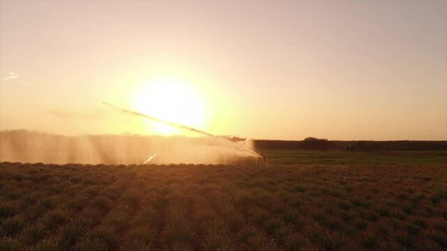 Irrigation