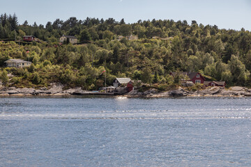 Obraz premium Red Homes Along the Fjord in the Forest Seen from a Cruise Ship Sailing out of Hjeltefjorden near Bergen Norway