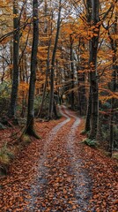 Obraz premium Winding path through an autumn forest