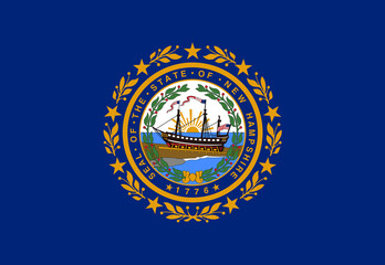 New Hampshire State Flag background illustration