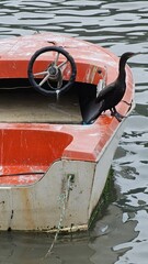 Pássaro repousando em barco abandonado no canal de Bertioga em São Paulo.