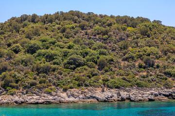 Obraz premium A lush green hillside with a body of water in the background