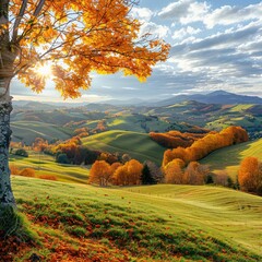 Panoramic view of autumn sunny day.