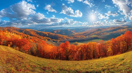 Panoramic view of autumn sunny day.