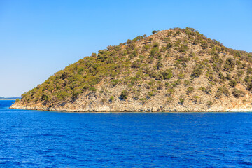 Fototapeta premium A hill with trees and a body of water in the background