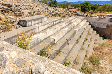 A stone staircase with weeds growing on it. Ruins of the ancient city of Philippi, Greece