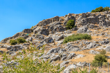 Naklejka premium A rocky hillside with a few trees growing on it