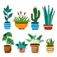 Potted plants set. Interior houseplants in planters, baskets, flowerpots. Home indoor green decor. Different succulents, cacti, foliage. Flat graphic vector