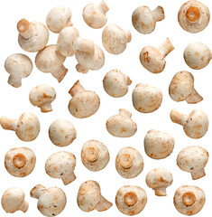 Cooking mushrooms collection - Ready to use Premium PNG Cutout isolated image.