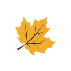 Autumn, cozy set of leaves, and acorns. Vector illustration.