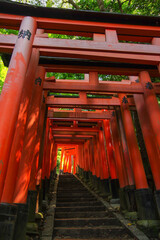 連なる鳥居と石段