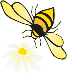 bee and flower