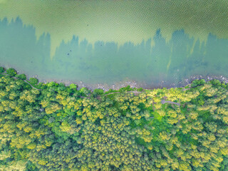 Aerial view of lake or river green shore with forest. Summer season. © Dmitrii Potashkin