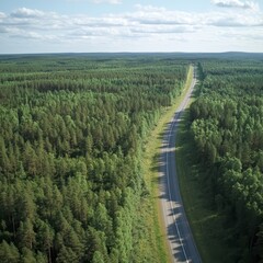 Obraz premium Aerial view of a winding road surrounded by lush green forests under a clear blue sky.