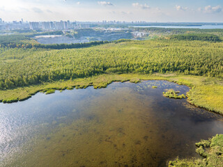 Big lake with green shores in bright sun light and city on horizon, aerial landscape. Recreation concept. Aerial view