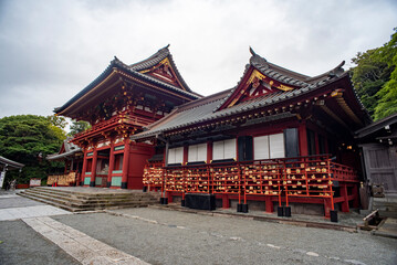 Naklejka premium 鎌倉249 鶴岡八幡宮1 本宮