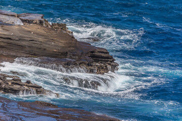 Dramatic Ocean crashing wave Hawaii at Makapu Point