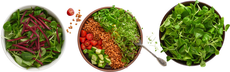 Salad bowls collection - Ready to use Premium PNG Cutout isolated image.