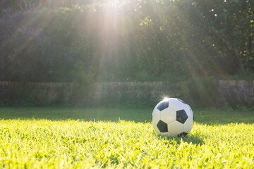 Soccer ball resting on grass in sunlight, ready for outdoor play, copy space
