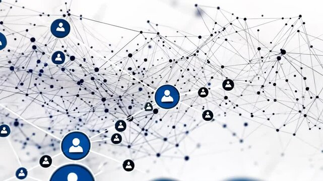 The Dynamics of Data Networks: Exploring Connectivity