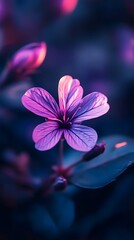 tunning close-up of vibrant purple flower petals beautifully picture