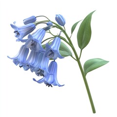 Obraz premium A digital illustration of blue bell-shaped flowers on a green stem with leaves.