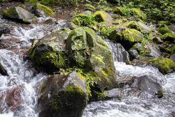 rio en parque ecologico para actividades outdoor