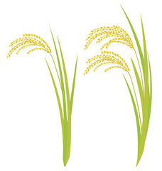 実った米、稲穂のイラスト